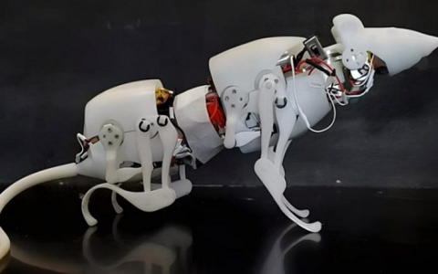 Construyen una rata robótica que imita las capacidades de movimiento de las ratas reales